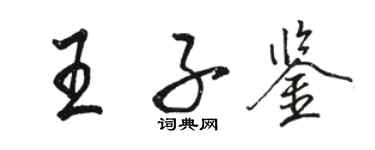 骆恒光王子鉴行书个性签名怎么写