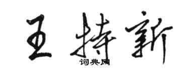骆恒光王特新行书个性签名怎么写