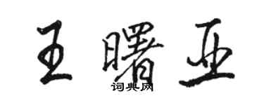 骆恒光王曙亚行书个性签名怎么写