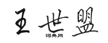 骆恒光王世盟行书个性签名怎么写