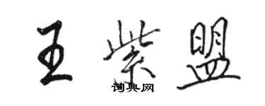 骆恒光王紫盟行书个性签名怎么写