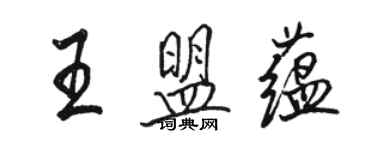 骆恒光王盟蕴行书个性签名怎么写
