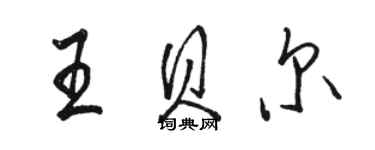 骆恒光王贝尔行书个性签名怎么写