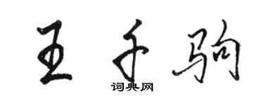 骆恒光王千驹行书个性签名怎么写