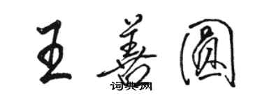 骆恒光王善圆行书个性签名怎么写