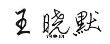 骆恒光王晓默行书个性签名怎么写