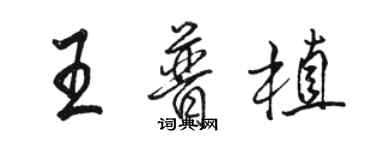 骆恒光王普植行书个性签名怎么写