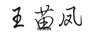 骆恒光王苗凤行书个性签名怎么写