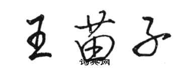骆恒光王苗子行书个性签名怎么写
