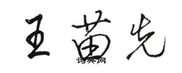 骆恒光王苗先行书个性签名怎么写