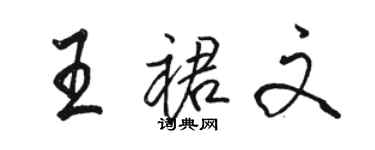 骆恒光王裙文行书个性签名怎么写