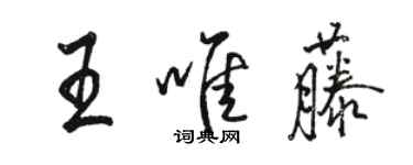 骆恒光王唯藤行书个性签名怎么写