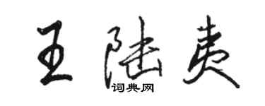 骆恒光王陆夷行书个性签名怎么写