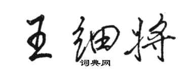 骆恒光王细将行书个性签名怎么写
