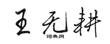 骆恒光王无耕行书个性签名怎么写
