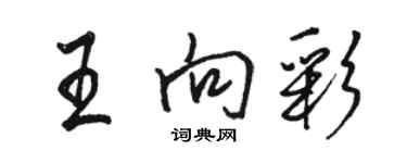 骆恒光王向彩行书个性签名怎么写