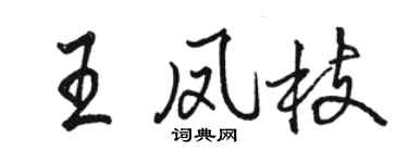 骆恒光王凤枝行书个性签名怎么写