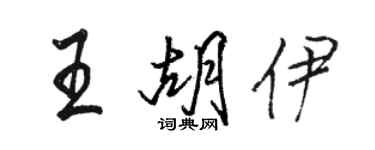 骆恒光王胡伊行书个性签名怎么写