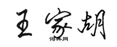 骆恒光王家胡行书个性签名怎么写