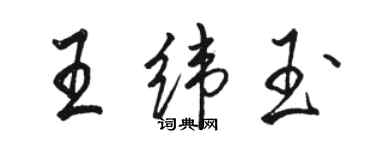 骆恒光王纬玉行书个性签名怎么写
