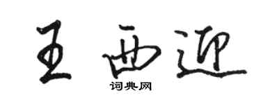 骆恒光王西迎行书个性签名怎么写