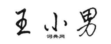 骆恒光王小男行书个性签名怎么写