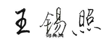 骆恒光王锡照行书个性签名怎么写