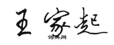 骆恒光王家起行书个性签名怎么写