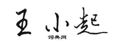 骆恒光王小起行书个性签名怎么写