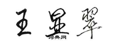 骆恒光王显翠行书个性签名怎么写