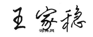 骆恒光王家稳行书个性签名怎么写