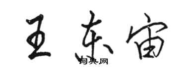 骆恒光王东宙行书个性签名怎么写