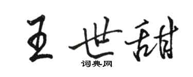 骆恒光王世甜行书个性签名怎么写