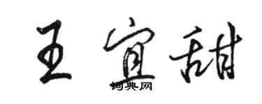 骆恒光王宜甜行书个性签名怎么写