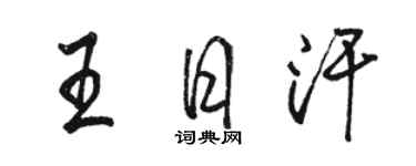 骆恒光王日汗行书个性签名怎么写