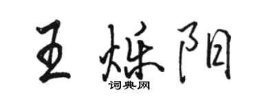 骆恒光王烁阳行书个性签名怎么写