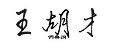 骆恒光王胡才行书个性签名怎么写