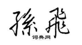 王正良孙飞行书个性签名怎么写