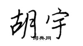 王正良胡宇行书个性签名怎么写