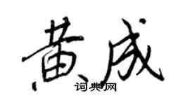 王正良黄成行书个性签名怎么写