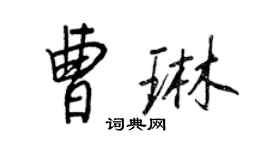 王正良曹琳行书个性签名怎么写