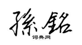 王正良孙铭行书个性签名怎么写