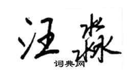 王正良汪淼行书个性签名怎么写