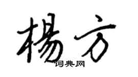 王正良杨方行书个性签名怎么写