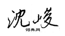 王正良沈峻行书个性签名怎么写