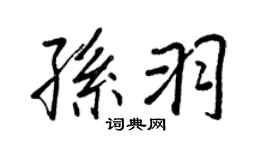 王正良孙羽行书个性签名怎么写