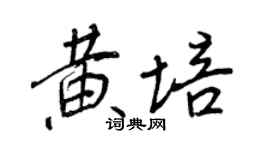 王正良黄培行书个性签名怎么写
