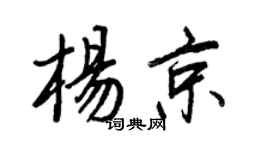 王正良杨京行书个性签名怎么写
