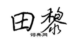 王正良田黎行书个性签名怎么写