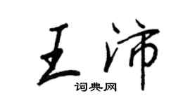 王正良王沛行书个性签名怎么写
